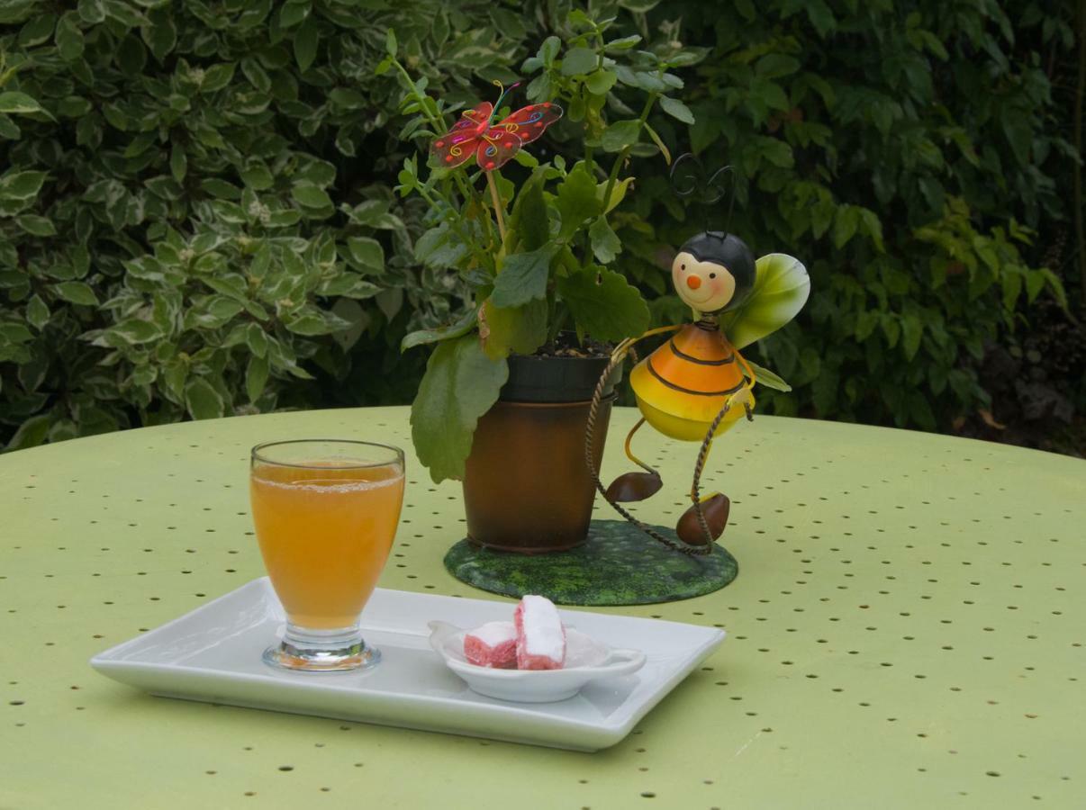 Les Rendzines Bed & Breakfast Nuisement-sur-Coole ภายนอก รูปภาพ