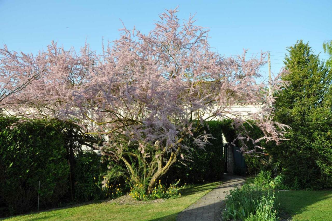 Les Rendzines Bed & Breakfast Nuisement-sur-Coole ภายนอก รูปภาพ